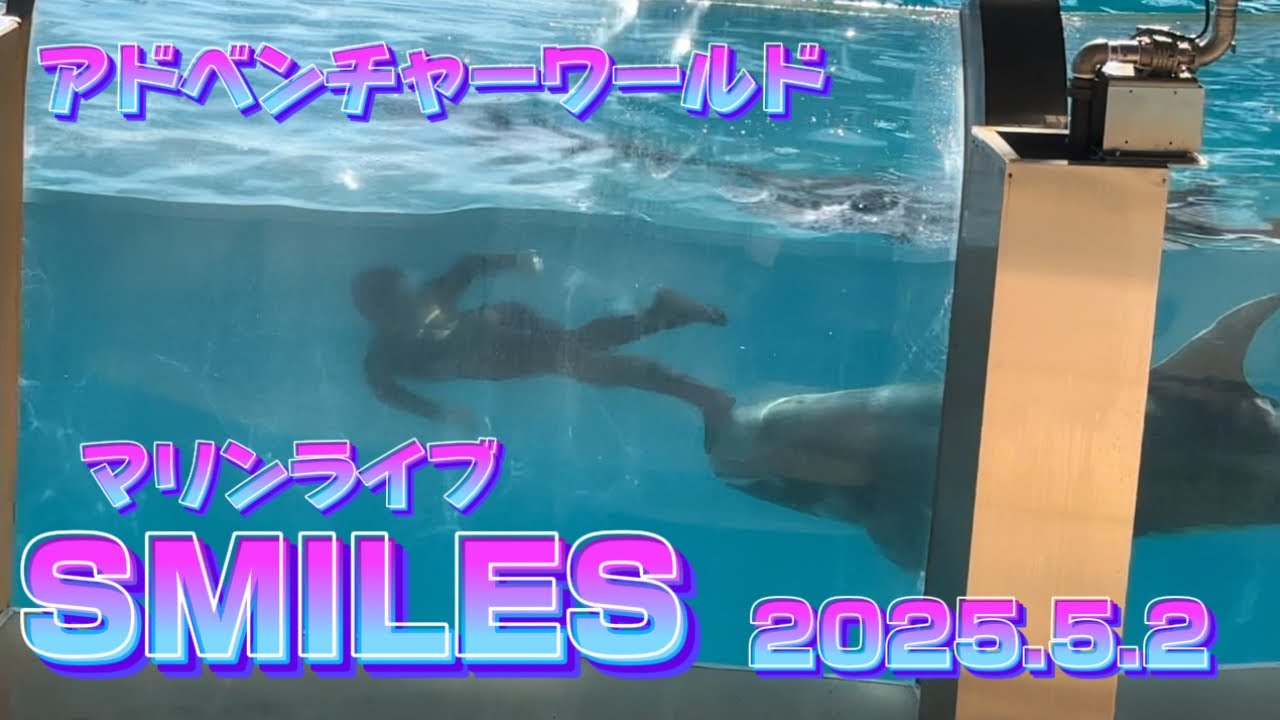 マリンライブ「SMILES」 2025.5.2 三回目公演 #アドベンチャーワールド #イルカショー