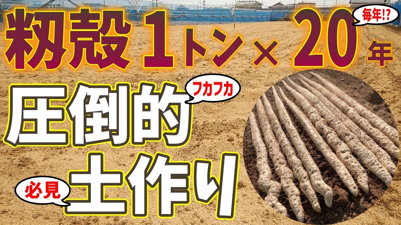 【土作り前編】籾殻を毎年1トン投入!?籾殻でフカフカに土壌改良！【自然薯】【堆肥】【カルスNC-R】