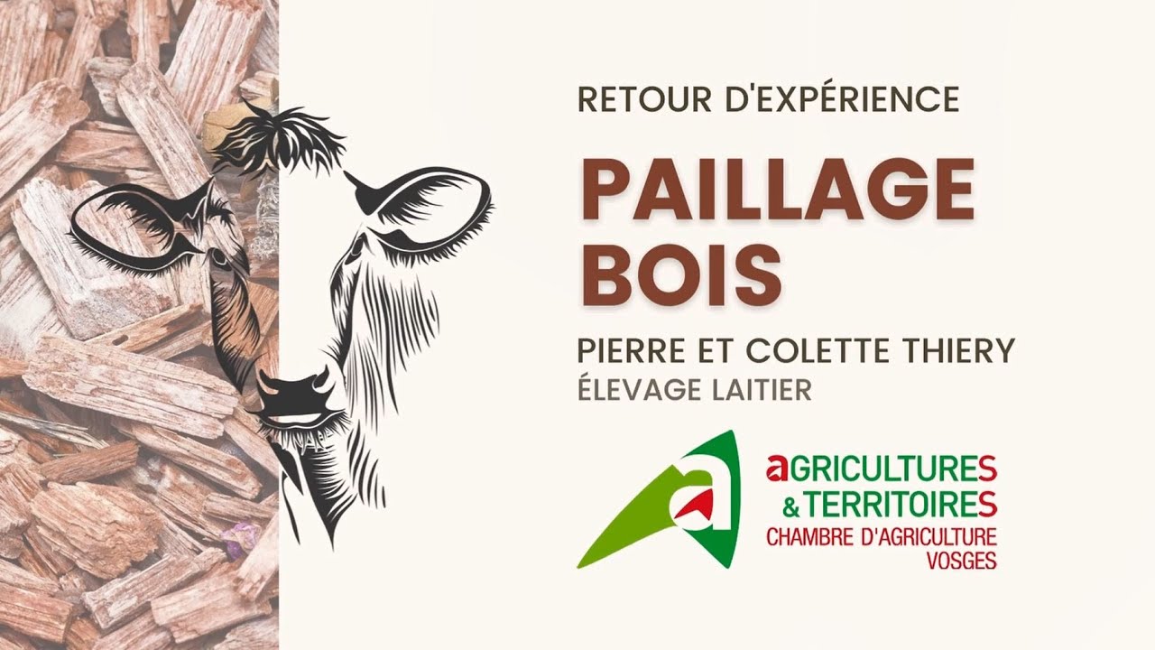 Le paillage à base de plaquettes bois - Témoignage de Pierre et Colette THIERY