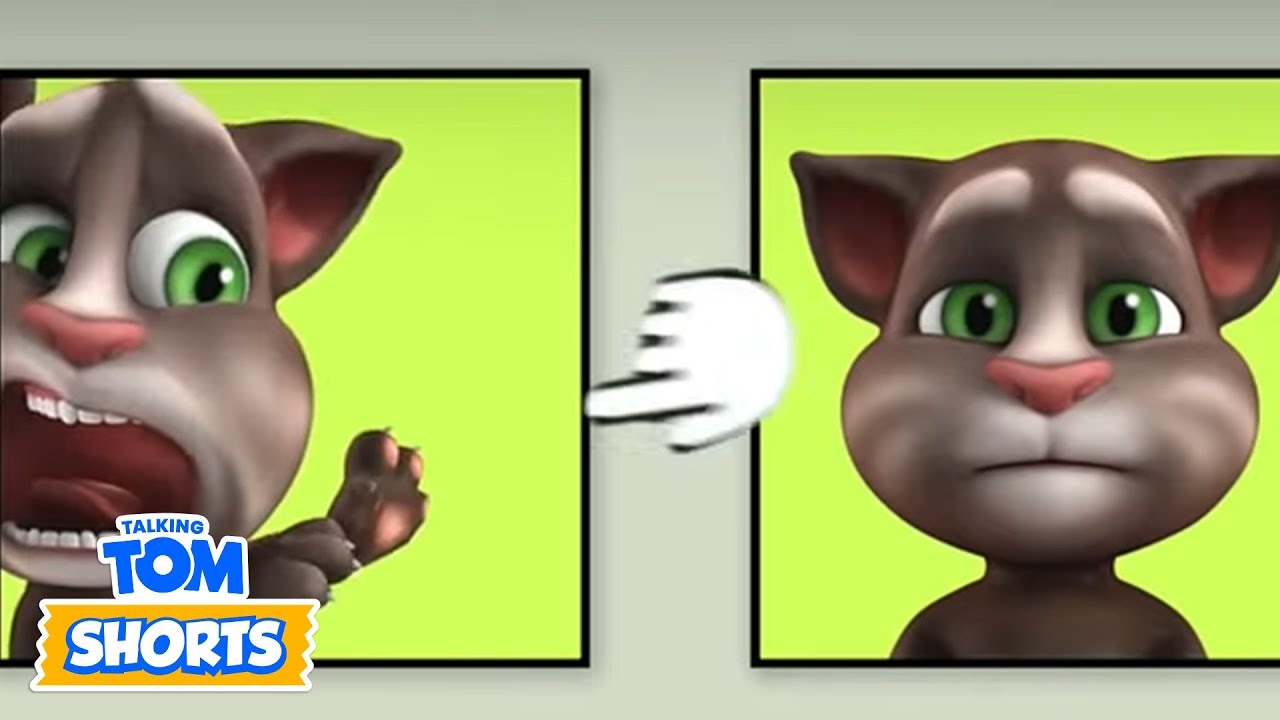 바보 같은 표정 🤪 | 말하는 톰 | 전체 에피소드 | Talking Tom