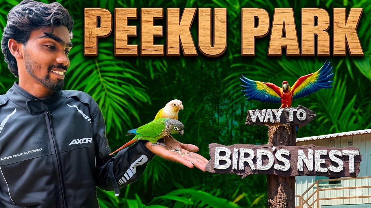 🥰🍃PEEKU PARK🦜| must visit place😍|#trending #shorts #vlog #viral #salem #yercaud #motopredictor #new 