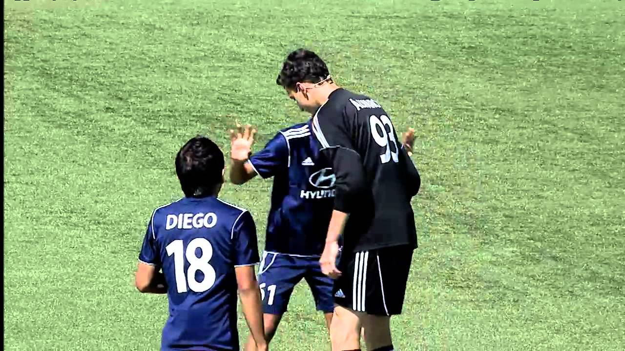 Divertido juego del Tulipán en Cracks