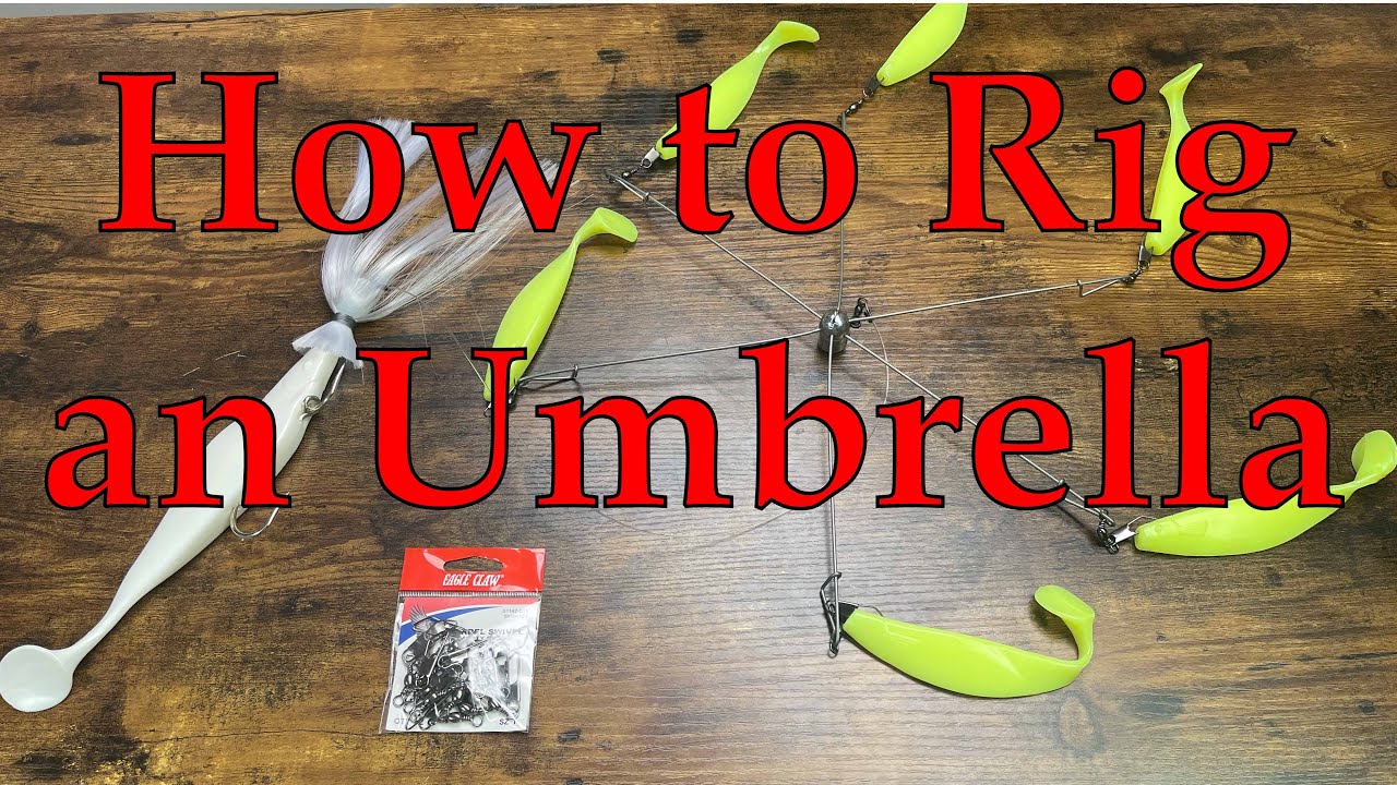 How to Rig and Umbrella
