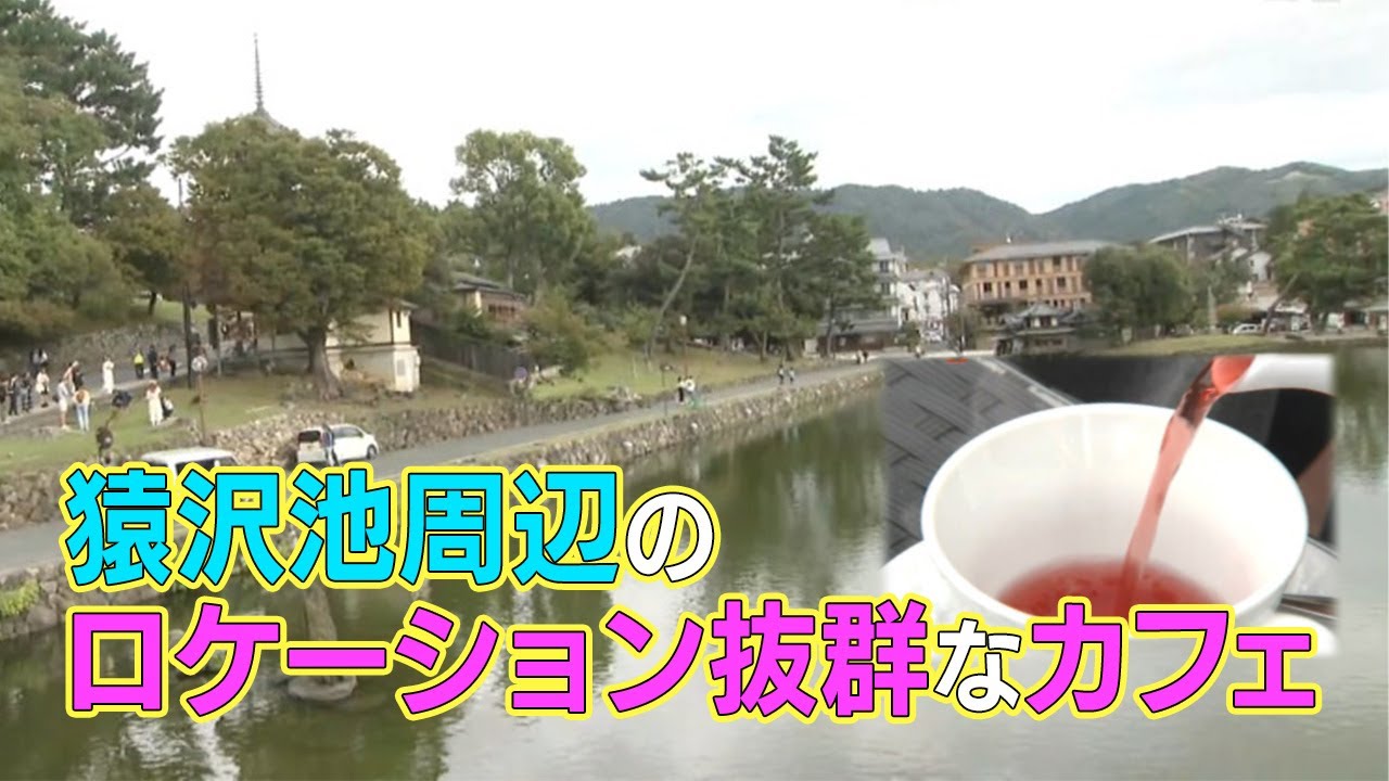 【ここナラええやん】猿沢池を一望できるカフェに、防空壕でくつろげるカフェ？！