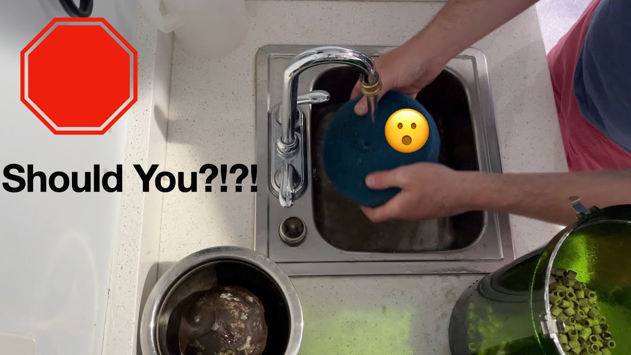 Cleaning Filter Media in Tap Water: can you?