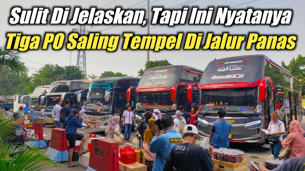 KERAS, 3 PO RAKSASA SALING TEMPEL DI JALUR PANAS‼️NGGA MAU KALAH, SIAPA PEMENANGNYA