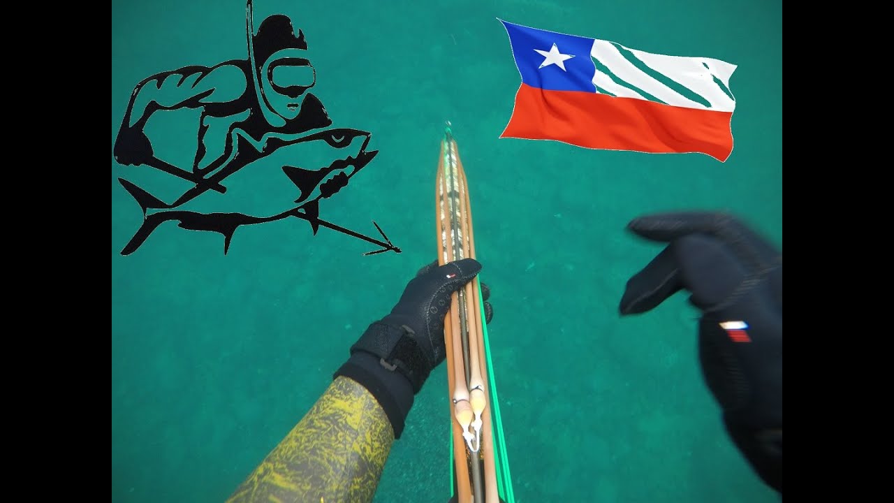 Pesca Submarina Chile 2020, GoPro Hero 6 Black