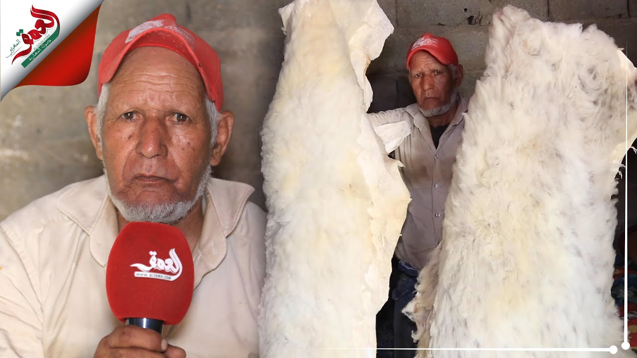 قضى 50 عاما في دباغة “الهيدورة”.. “با فاتح” يقاوم لأجل حرفة طالها الإهمال