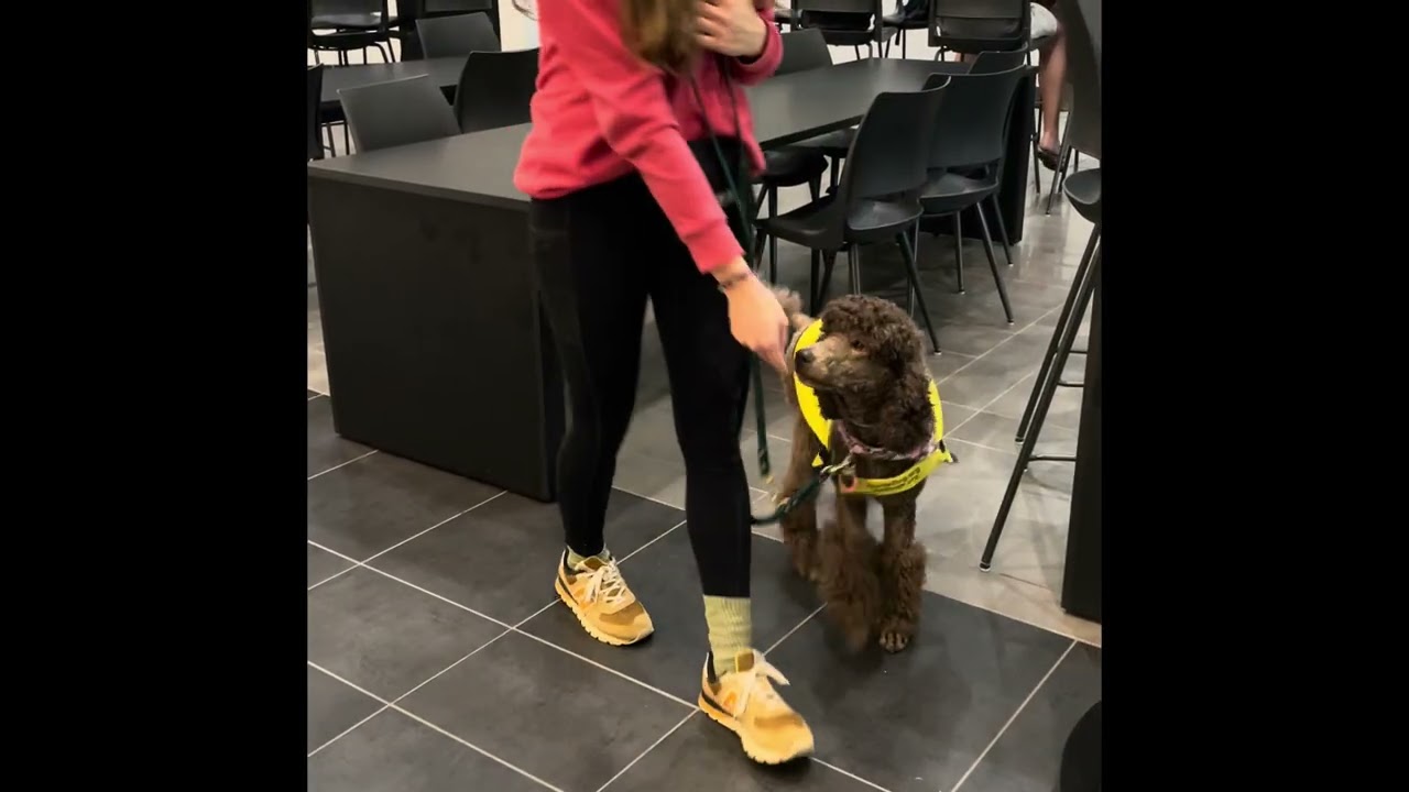 Caroline C200 Final Skills Video