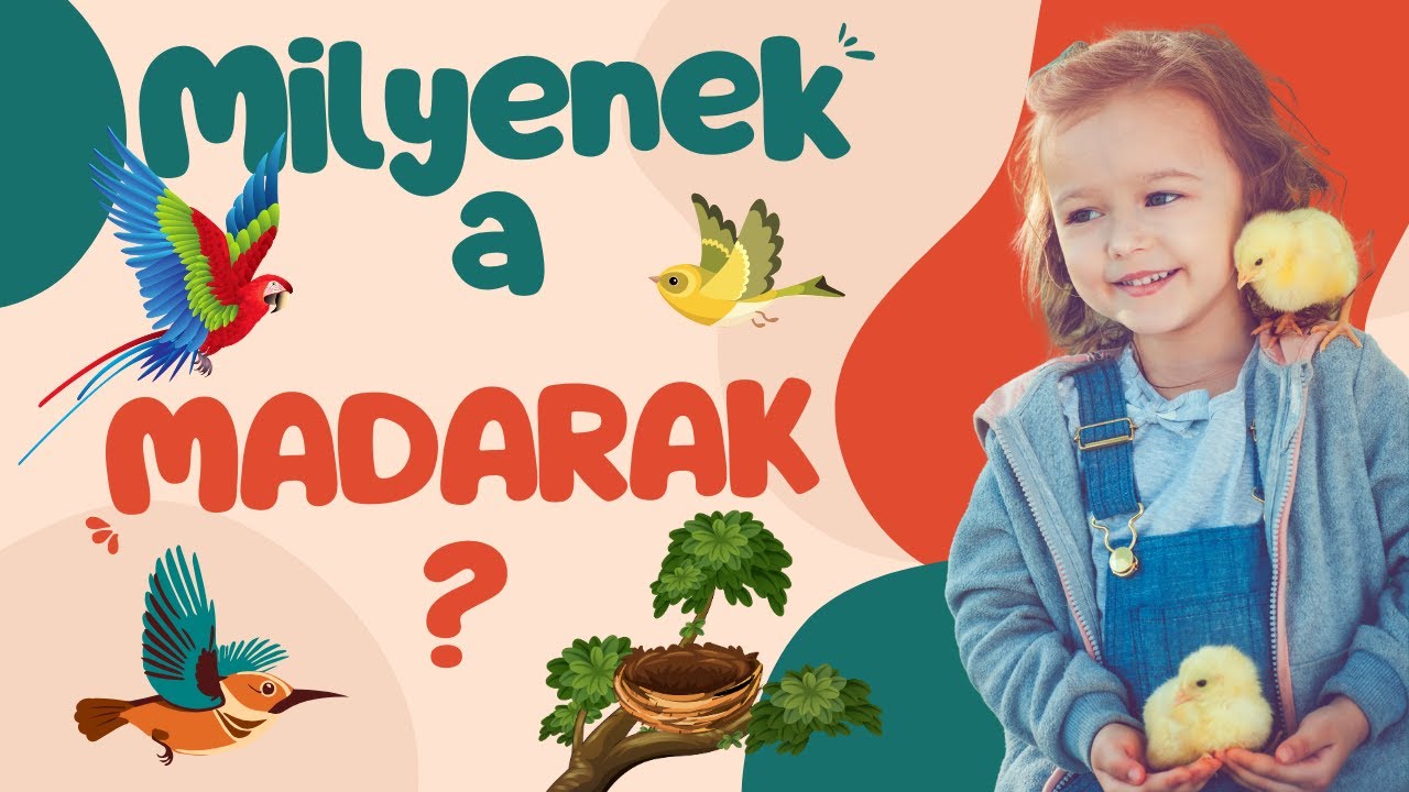 Minden, Amit A Madarakról Tudnod Kell! Érdekességek Gyerekeknek