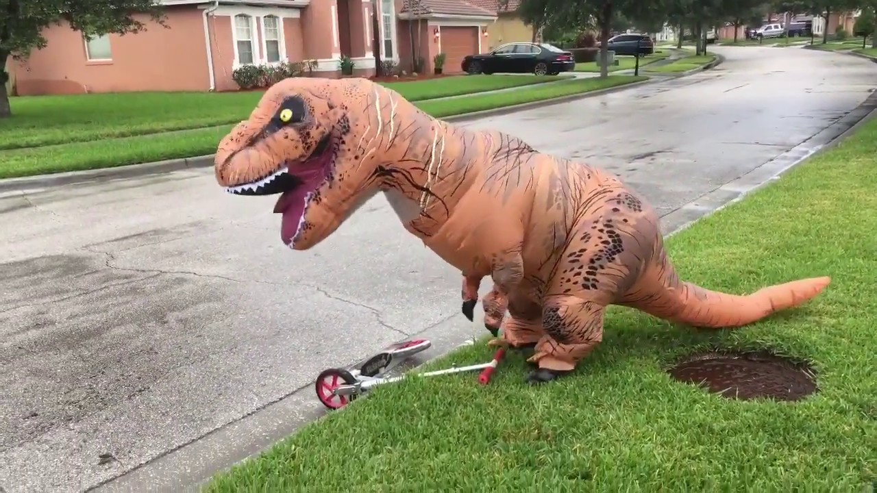 Irma: Before the Landfall