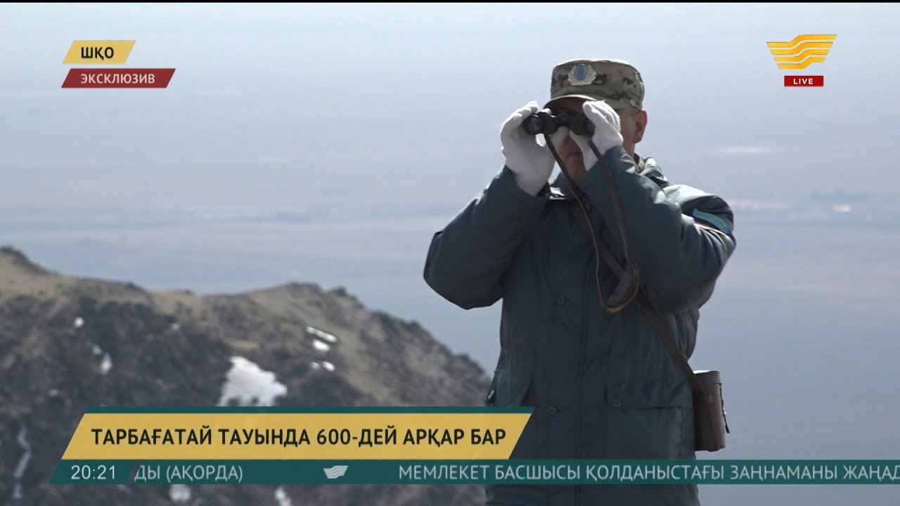 Тарбағатай тауындағы жан-жануарлар әлеміне алғаш рет ресми санақ жүргізілді