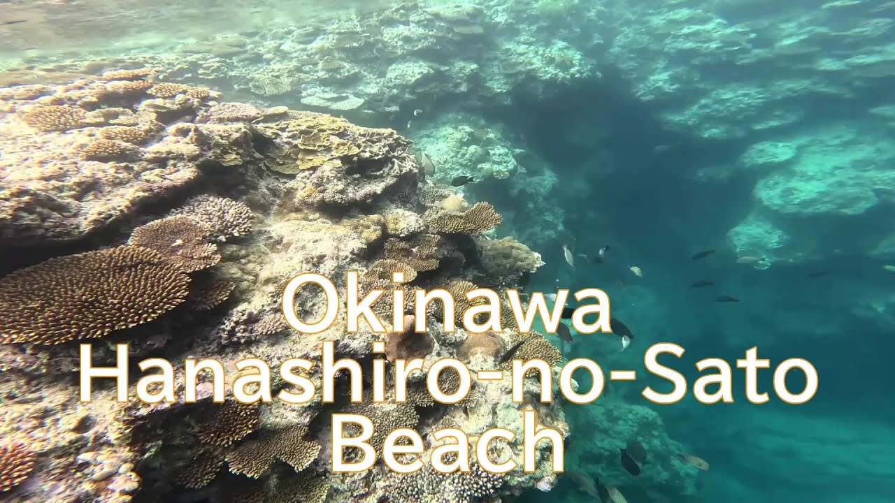 [Okinawa Beach] Hanashiro-no-Sato Beach! A 1 min glance at the sea outside the reef