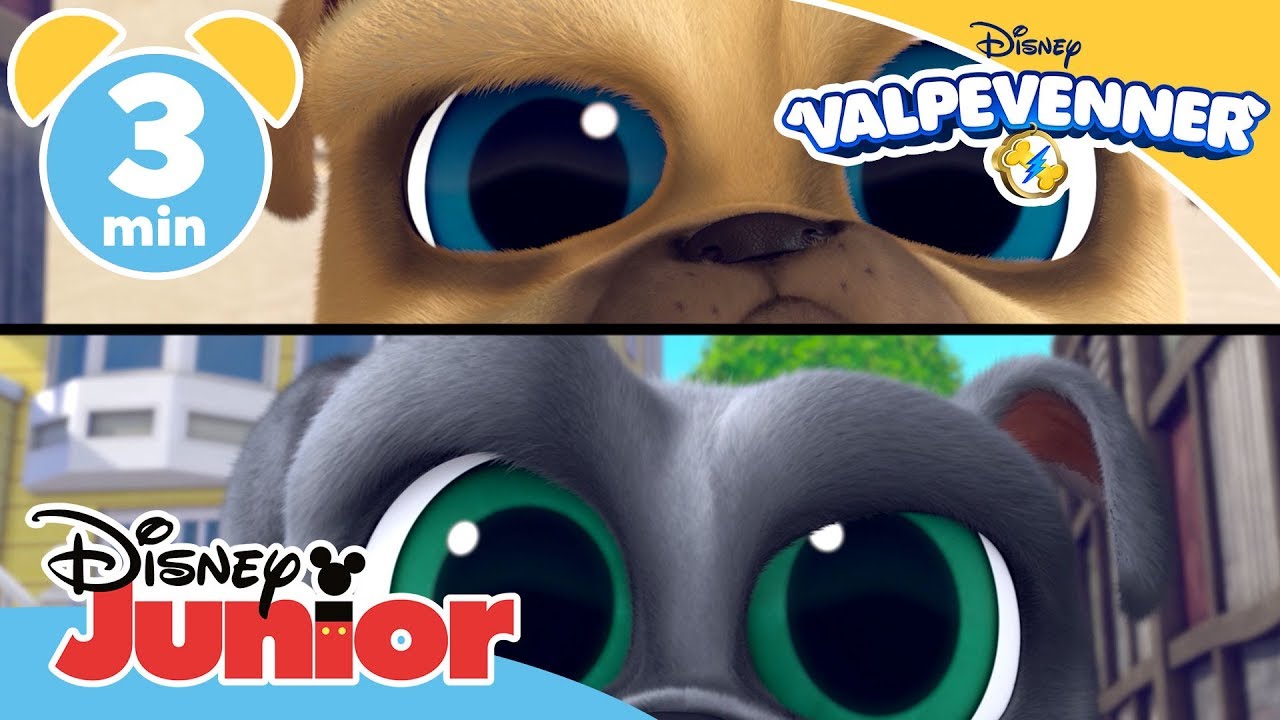 Valpevenner | Blunkeleken 👀- Disney Junior Norge