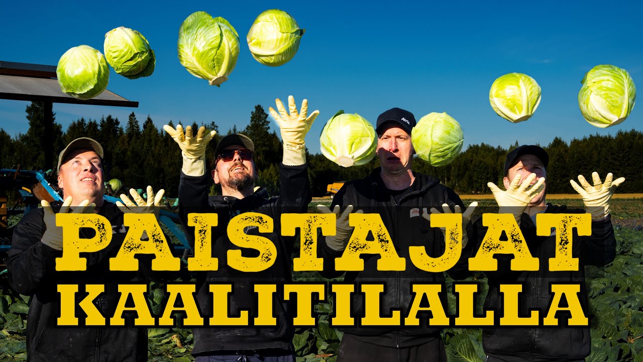 Kuka Tekee Parhaan Annoksen KAALISTA?