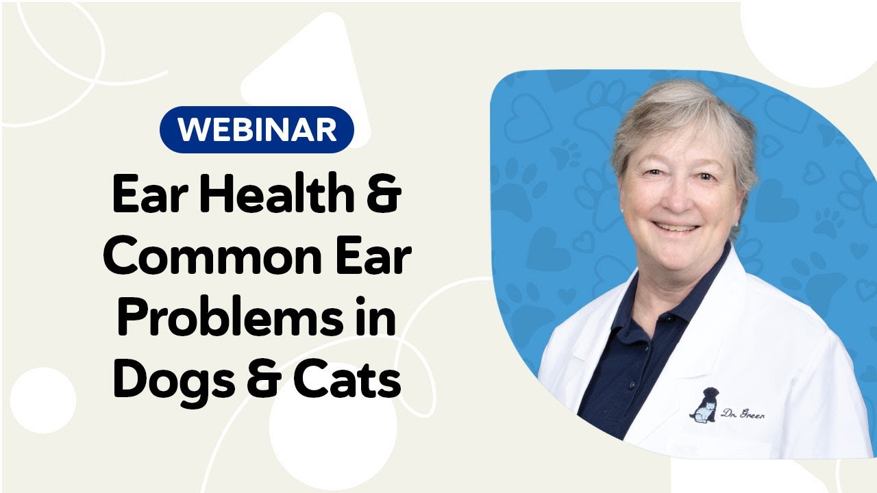 Ear Health & Common Ear Problems in Cats and Dogs Webinar