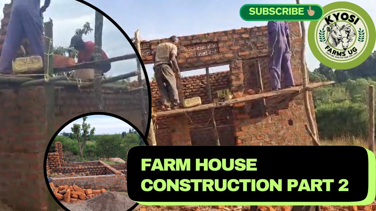 Farm House🏡 Construction (Part 2) | Continuation of the farm house | Goat 🐐 structure construction.