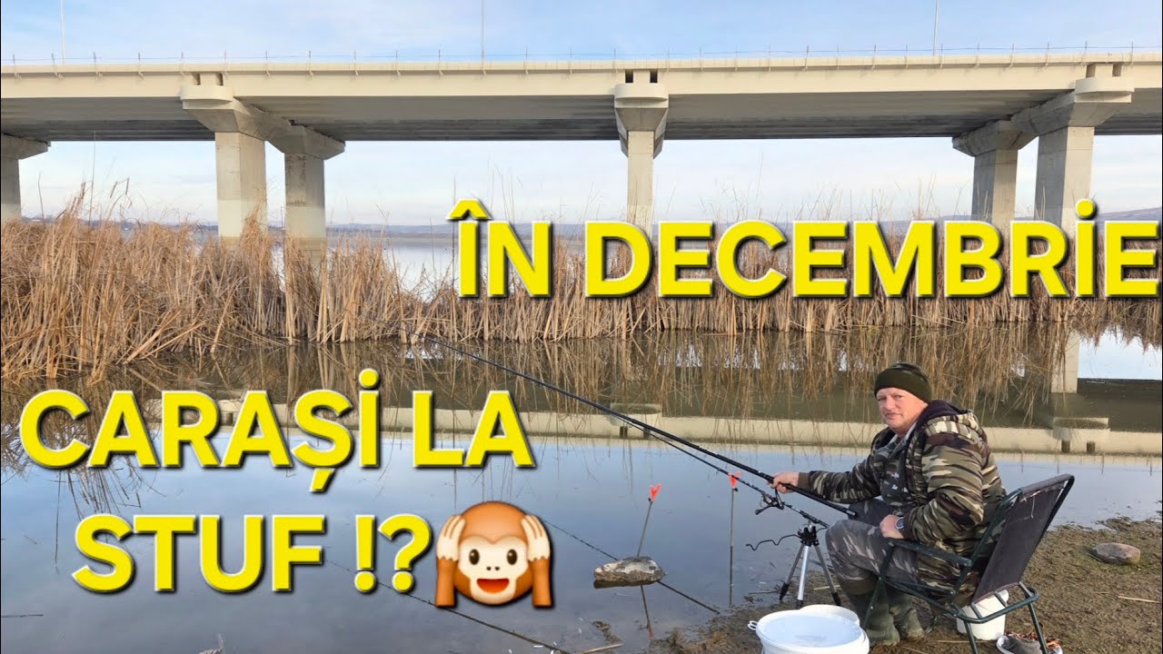 Caras în Decembrie,la plută lângă stuf!(subtitles in multiple languages)