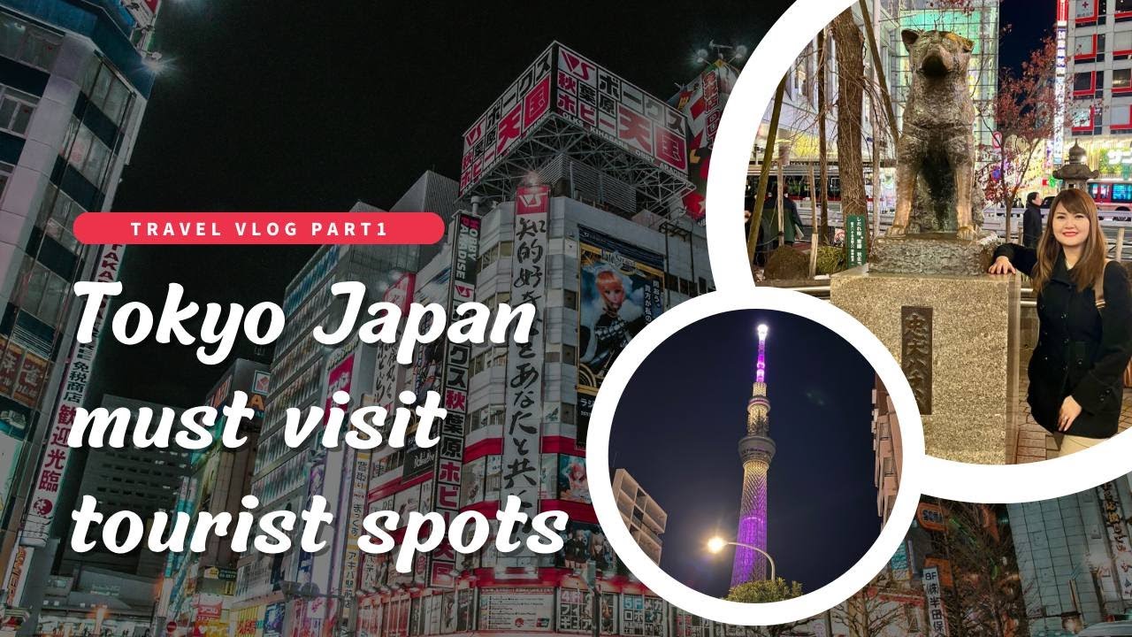 WINTER IN JAPAN | DREAM DESTINATION OF EVERYONE! | A DAY IN TOKYO | PART 1