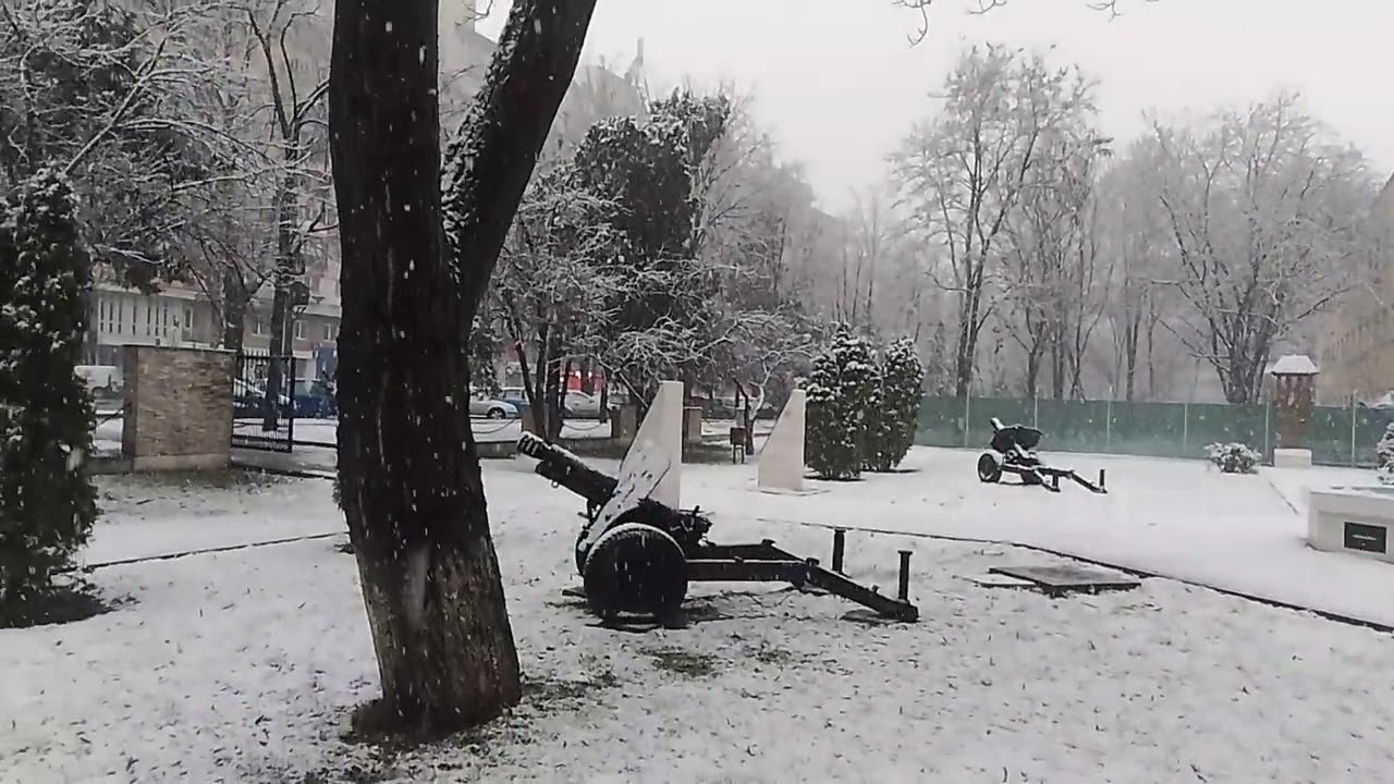 Ninge la Brăila 