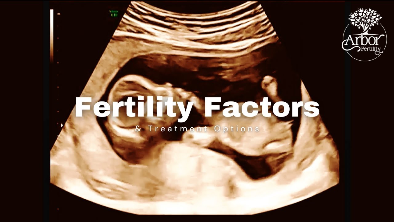 Fertility Factors and Treatment Options - Arbor Fertility