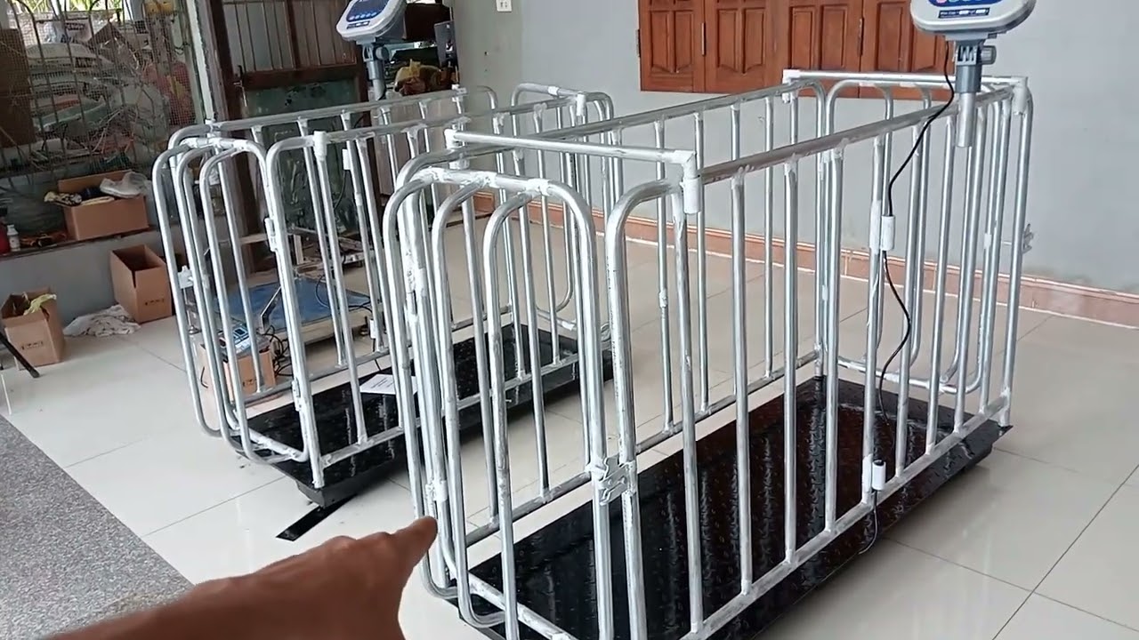 Các mẫu cân điện tử thông dụng. LH 0974.414.899