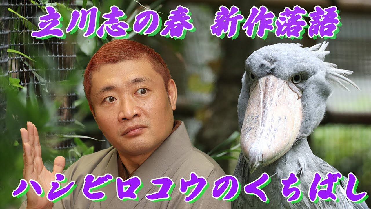 立川志の春・新作落語「ハシビロコウのくちばし」