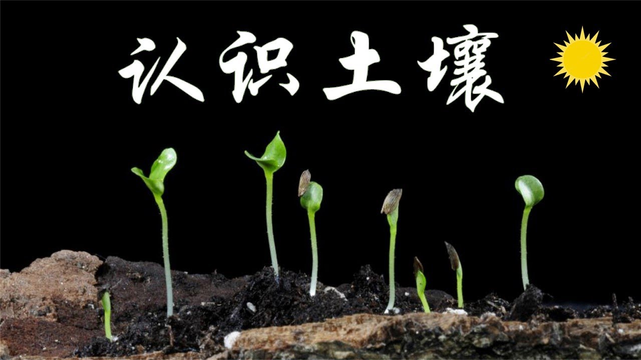 庭院种菜最重要的一步：认识土壤