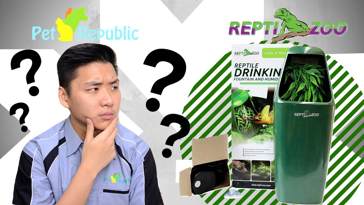Reptizoo - Reptile Drinking Fountain Setup