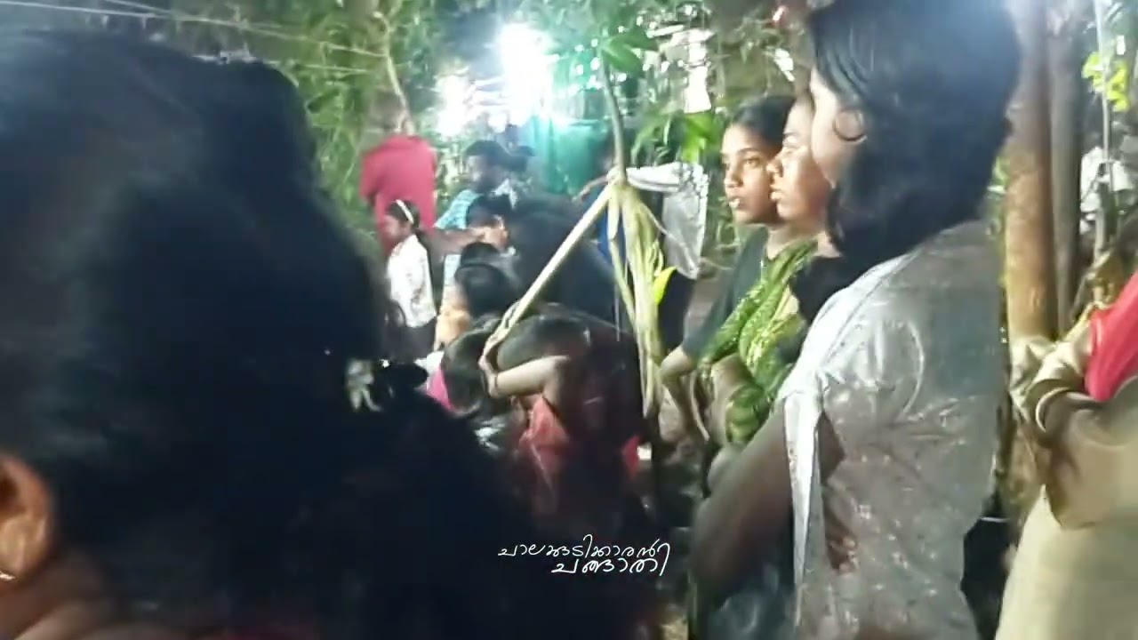 2026 തോറ്റം മഹോത്സവം കോട്ടുവളപ്പിൽ തറവാട് നെല്ലായി 