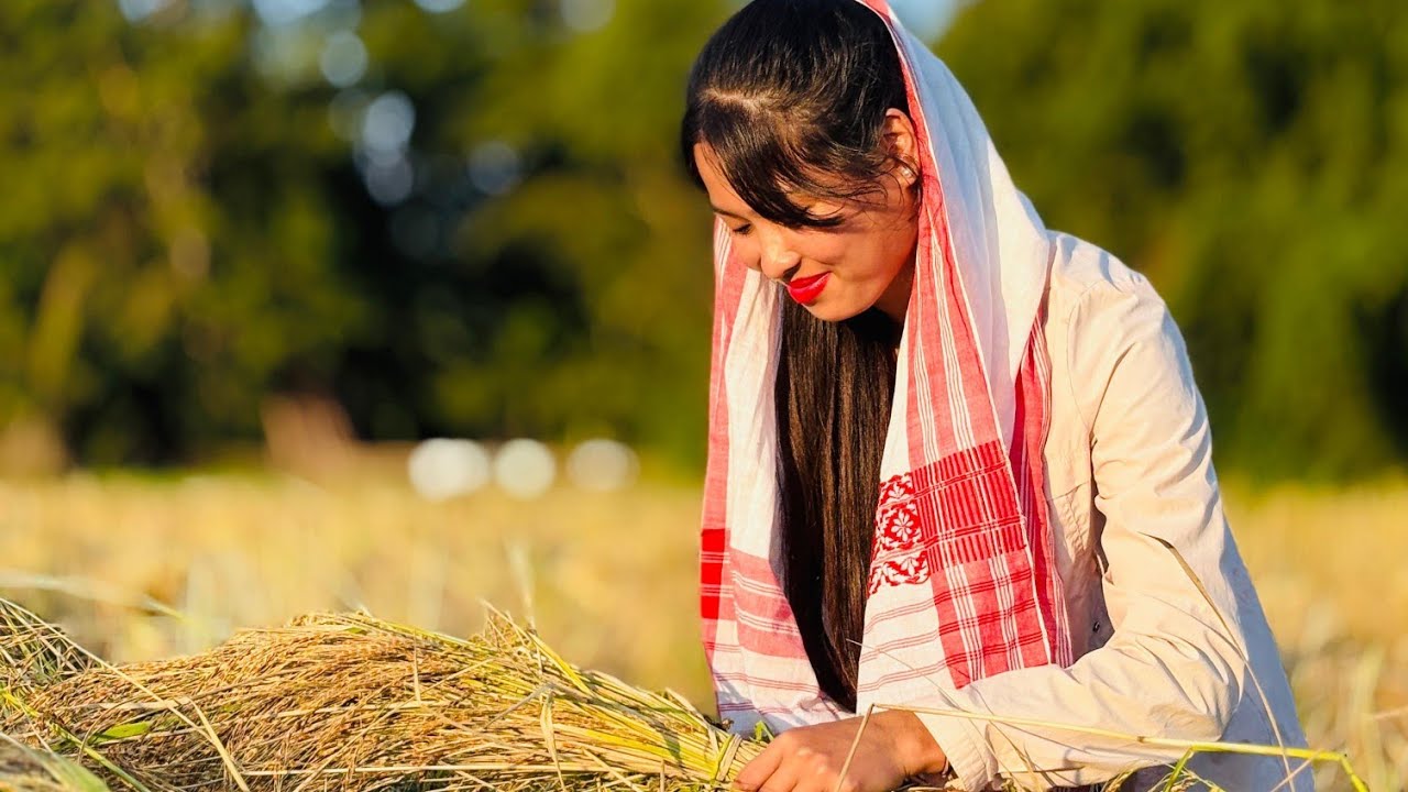 Let’s Explore Paddy Field And Taste Bortenga 😋 | Majuli Koneng Karabi |