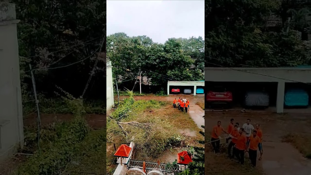 #odraf operation #tree cutting for rescue #cylone Dana 🌀#subscribe