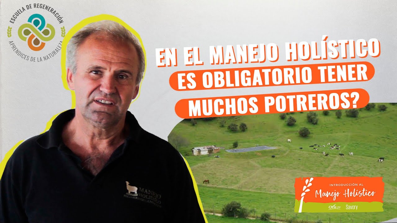 &iquest;En el Manejo Hol&iacute;stico es obligatorio tener muchos potreros?