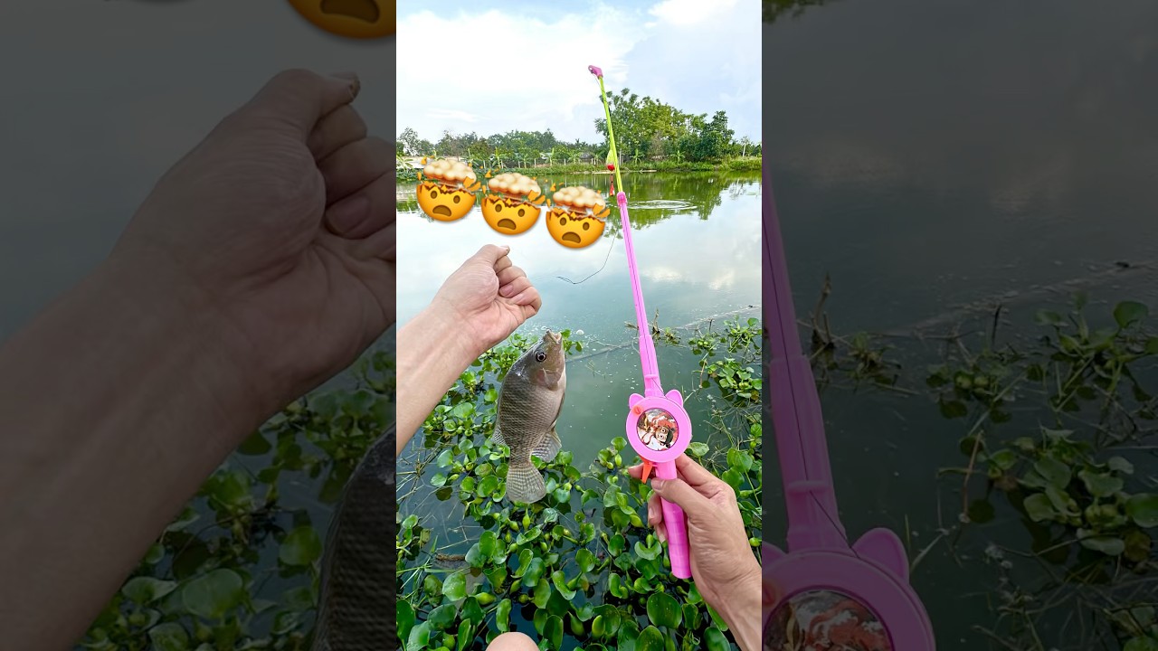 C&acirc;u c&aacute; bằng cần nhựa 🤯 #fishing #c&acirc;uc&aacute;