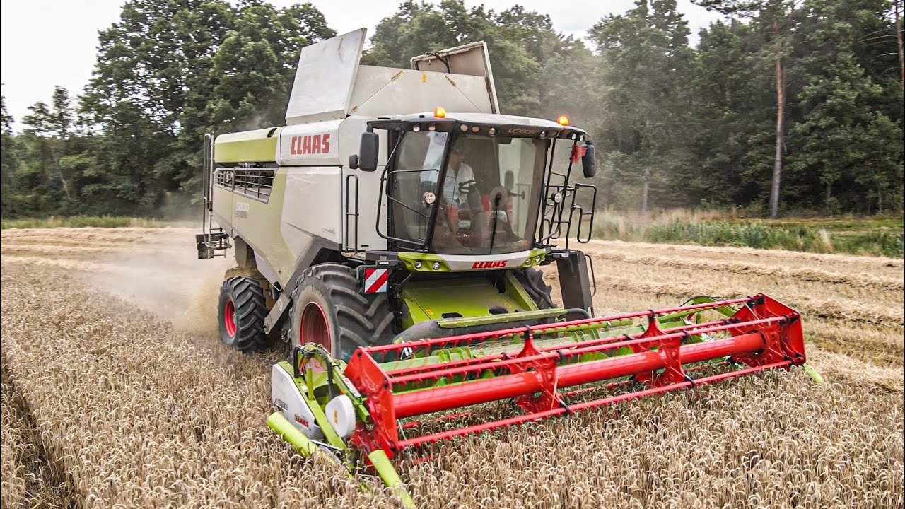 Żniwa 2023 | GR FOLWARK Mieczkowski | CLAAS LEXION 5300