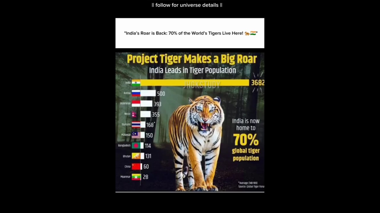 🦁 Tiger Population by Country | How Many Tigers in Each Country? 🌍