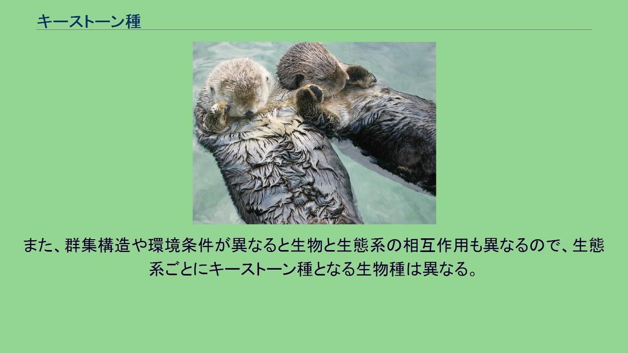 キーストーン種