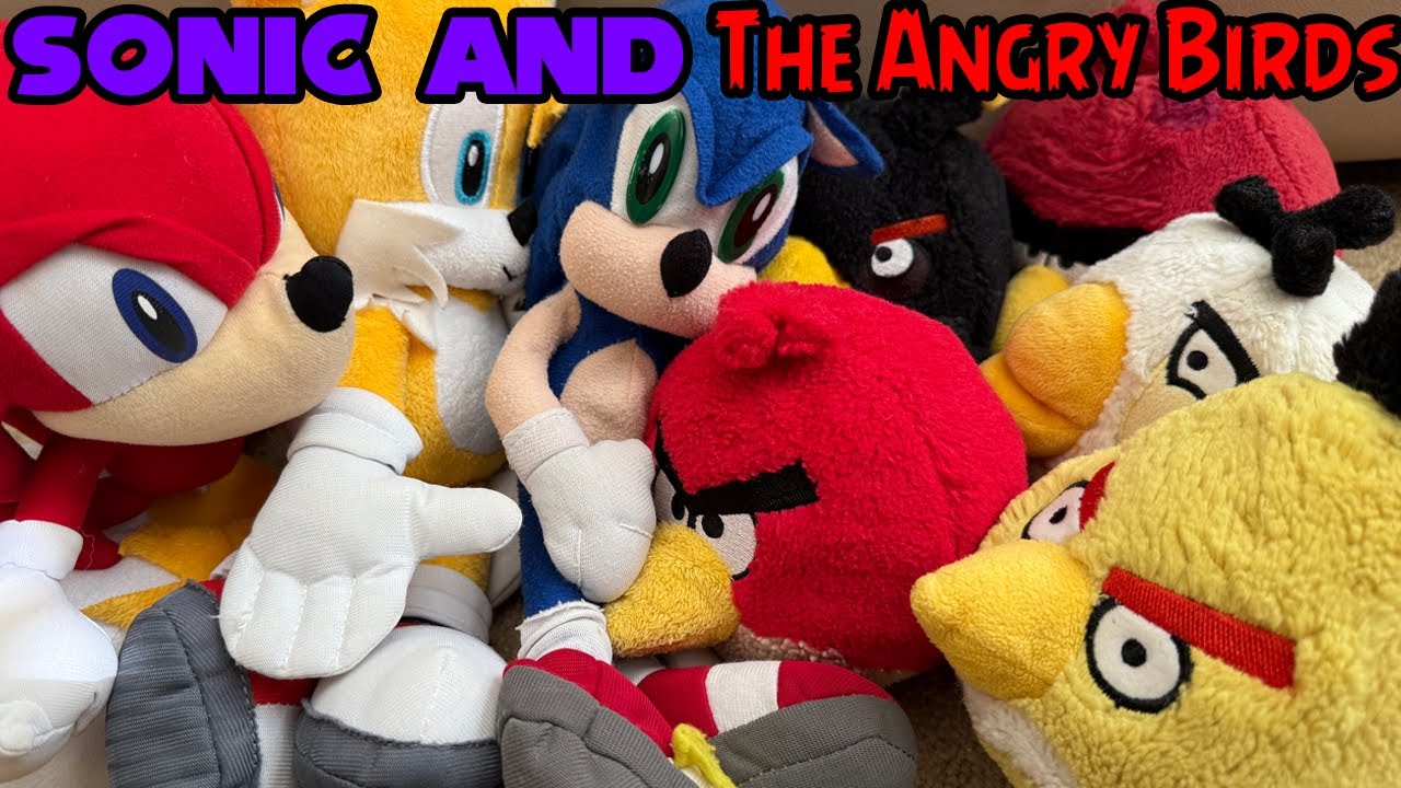 Sonic and the Angry Birds!