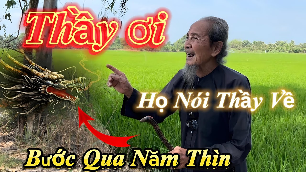 Ông Lão Lên Tiếng Thẳng🔥🔥Diễn Biến Hết 7 Còn 3 Thầy Về - Mèo Lui Rồng Tới Khổ