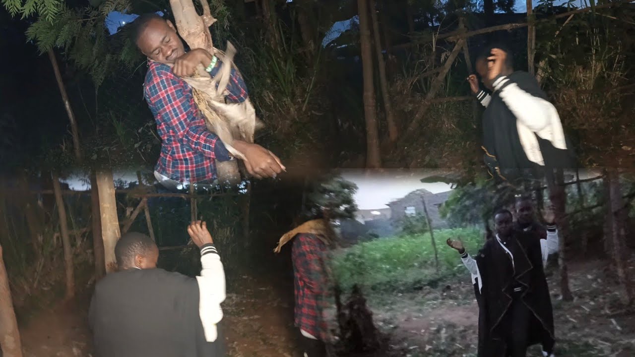 Peter amekuwa chizi, Kadogo kaponea chupuchupu,, shiba is no joke akiwa milimani.... 