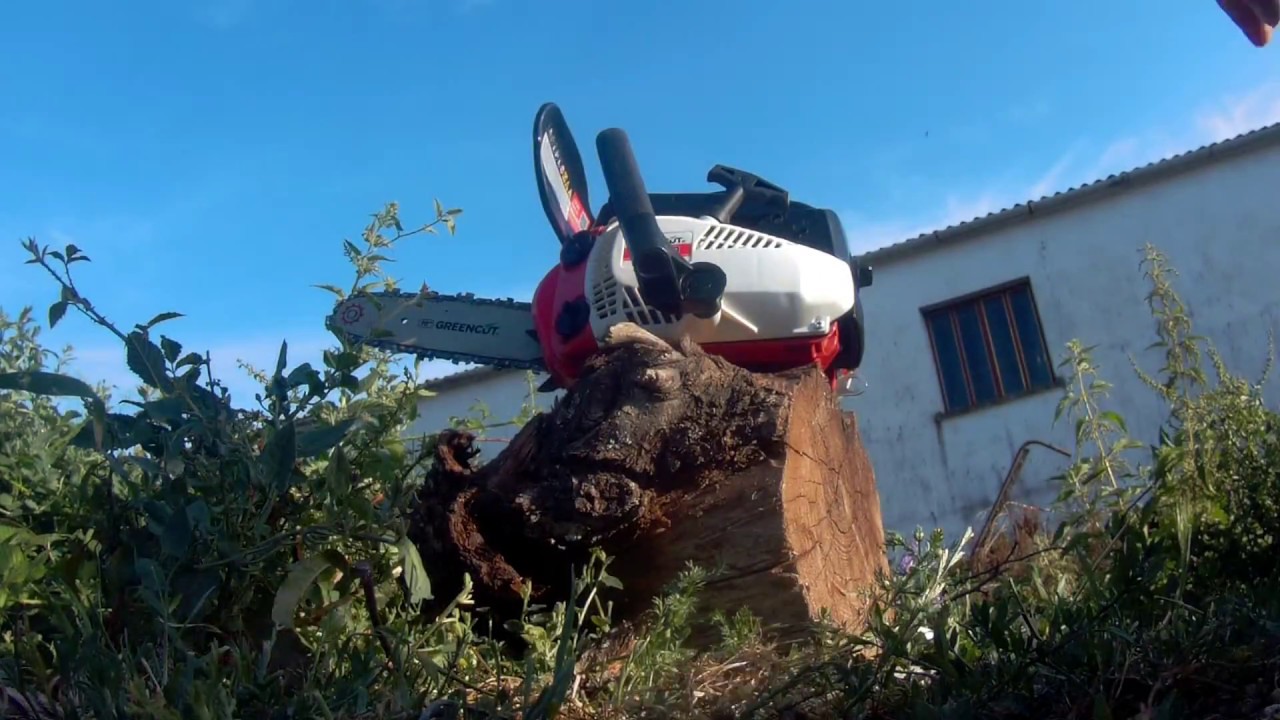 GreenCut 25cc  First cuts  Full Power