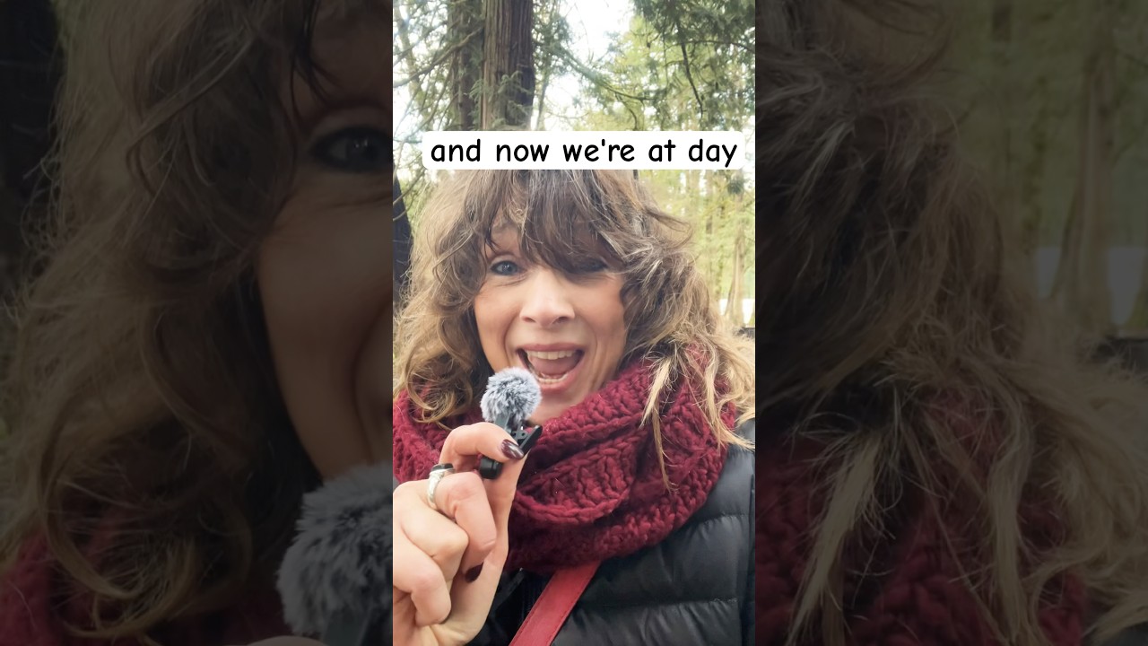 Day 8 | Nervous System Regulation Journey — Orienting to Safety (Here & Now)