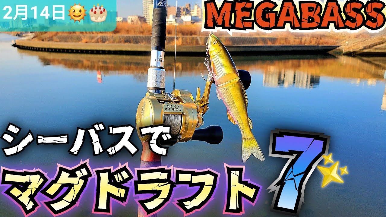【メガバス】マグドラフト7！をシーバスで使ってみた！ 毎日配信釣り情報