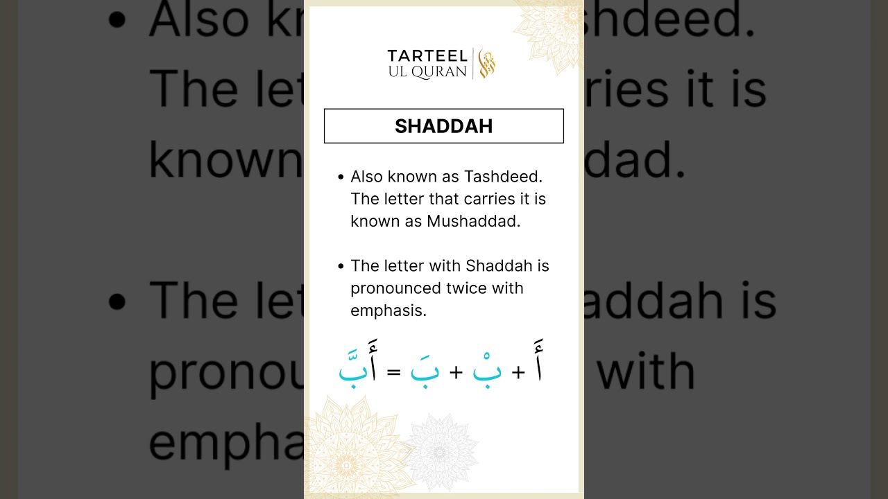 Learn About Shaddah  