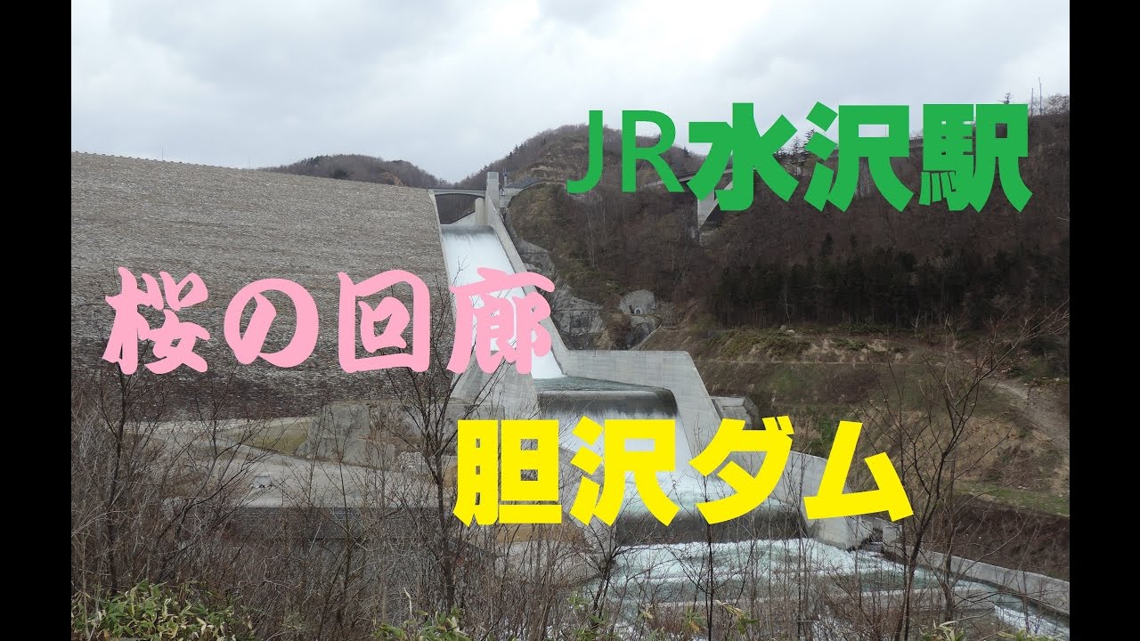 ドライブタイム「JR水沢駅～桜の回廊～胆沢ダムときつね」