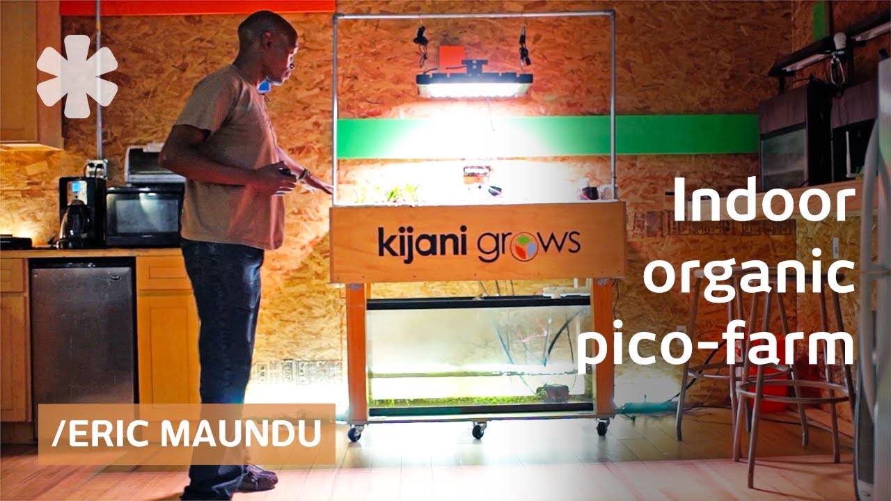Eric Maundu's home-aquaponics can grow veggies & fish anywhere