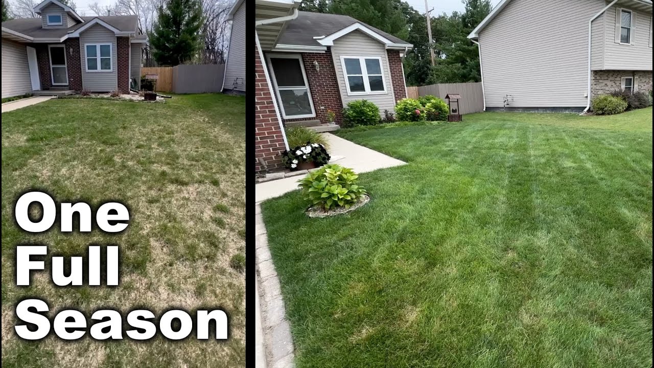 Thickening Up A Lawn (Cool Season) - 1 Year of Results and Learnings