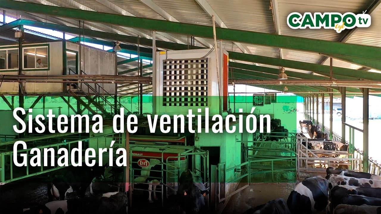 Ventilación en granjas
