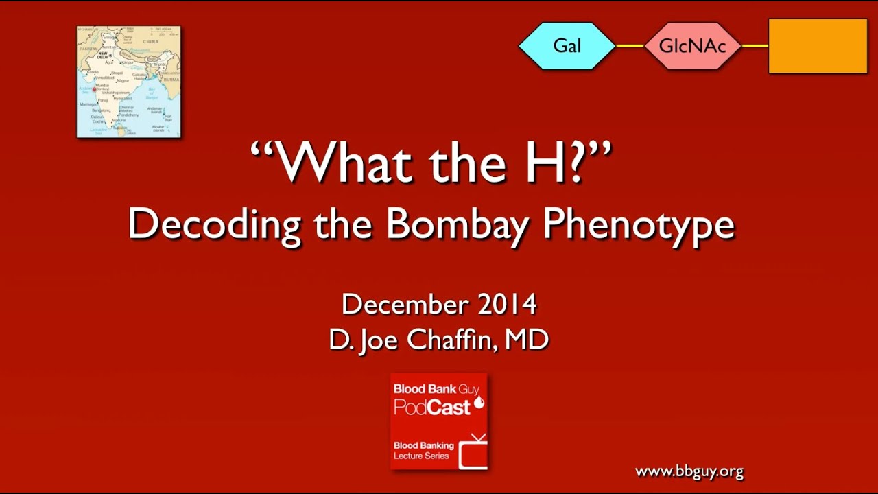 What the H? Decoding the Bombay Phenotype