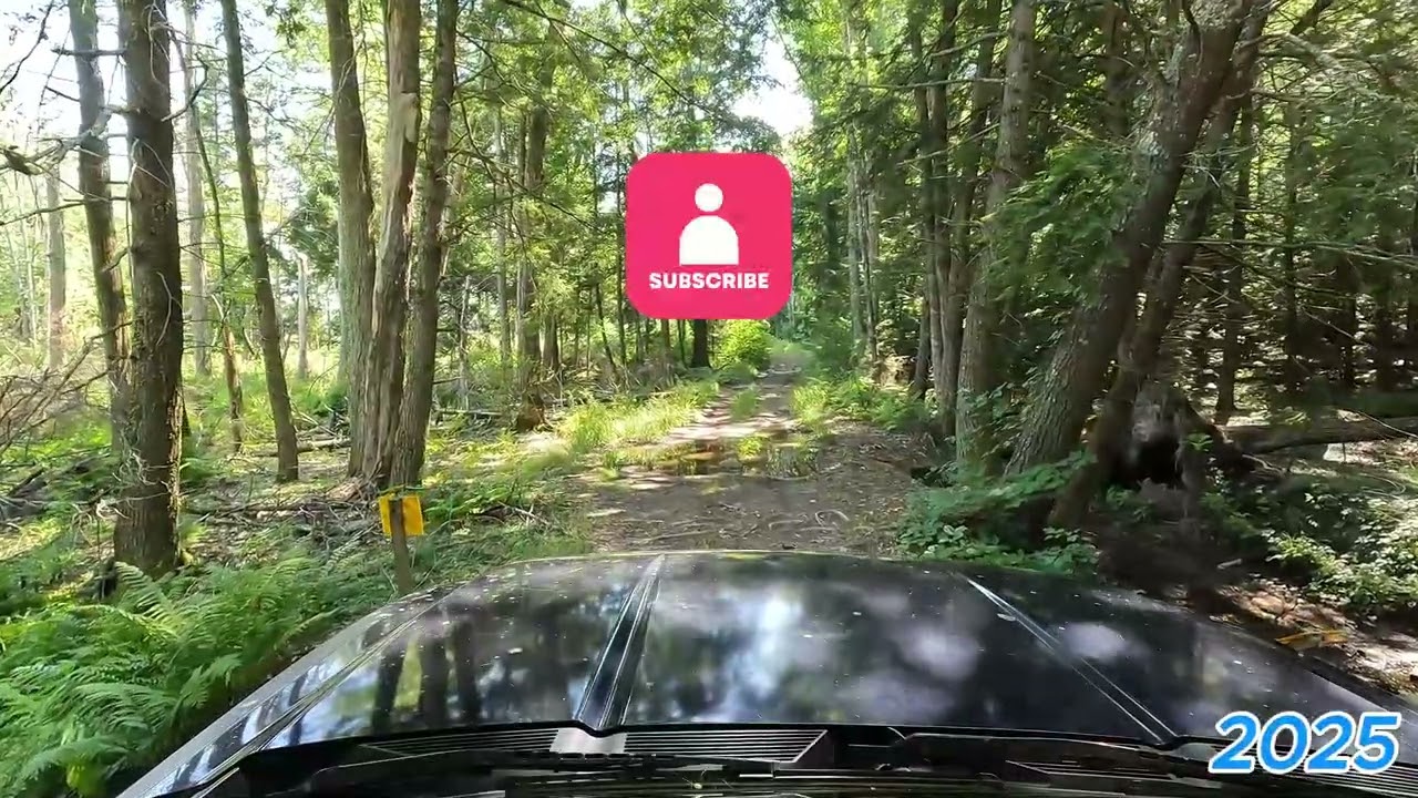 South Road   ( WEARE NH)